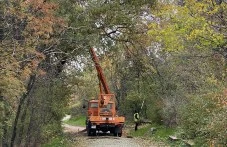 Прочистват Бунарджика и Младежки хълм от изгнилите дървета