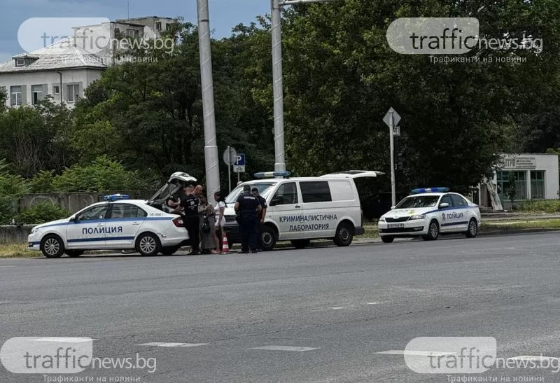 Коя община в Пловдивско е най-криминална?