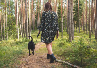 По-дългите разходки намаляват риска от инфаркт и инсулт