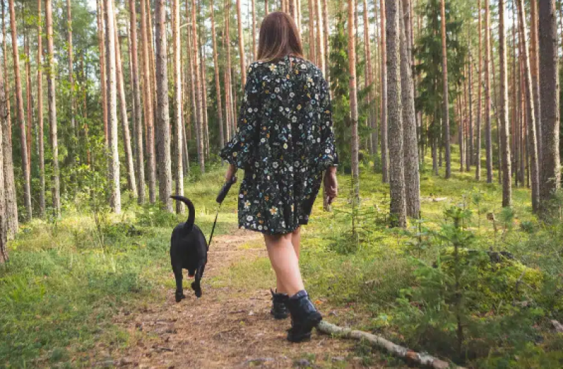 По-дългите разходки намаляват риска от инфаркт и инсулт