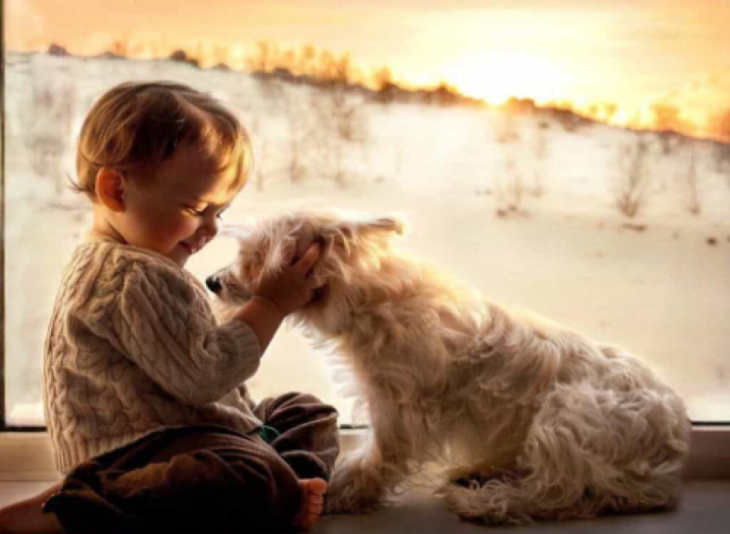 13 ноември - Световен ден на добротата