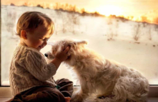 13 ноември - Световен ден на добротата