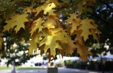 Петък в Пловдив - слънчев, ясен и с приятни температури