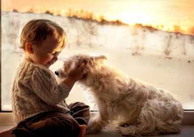 13 ноември - Световен ден на добротата