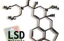 На този ден: За първи път е синтезирано веществото ЛСД