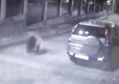 Осигуряват денонощни патрули в Карлово заради мечката