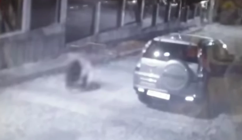 Осигуряват денонощни патрули в Карлово заради мечката