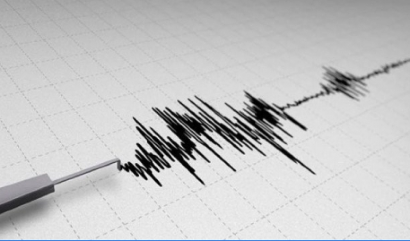 Слабо земетресение е регистрирано у нас