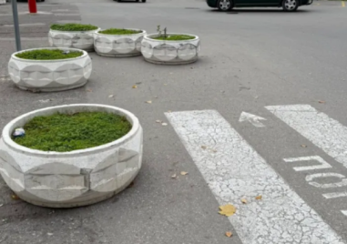 Бетонни саксии на пътя учудиха асеновградчани