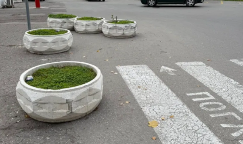 Бетонни саксии на пътя учудиха асеновградчани