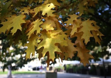 Събота в Пловдив - предимно слънчева и топла
