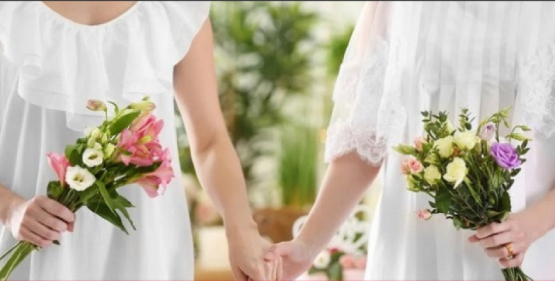 Европейският съд постанови: Еднополовите бракове да се признават във всички държави в ЕС