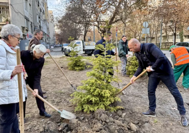 Нови 1000 дръвчета засадиха в Пловдив