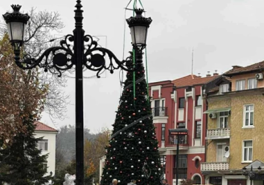 Пловдив се готви да заблести в коледни светлини и настроени, поставиха елхата