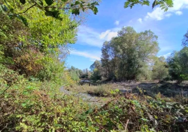 Валежите предизвикаха нова тревога в Пловдивско – настояват Тахов да поеме инициатива за пористването на Стряма