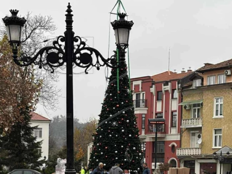 Пловдив се готви да заблести в коледни светлини и настроени, поставиха елхата