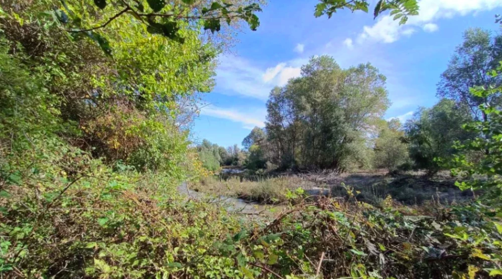 Валежите предизвикаха нова тревога в Пловдивско – настояват Тахов да поеме инициатива за пористването на Стряма