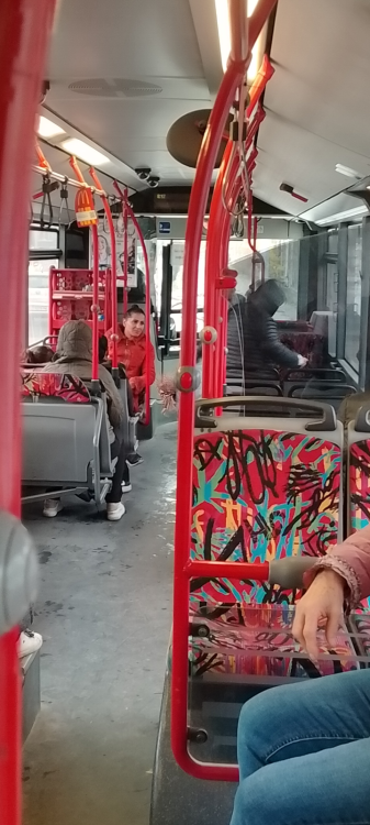 Жена отправя смъртни клетви към случайни минувачи в Пловдив