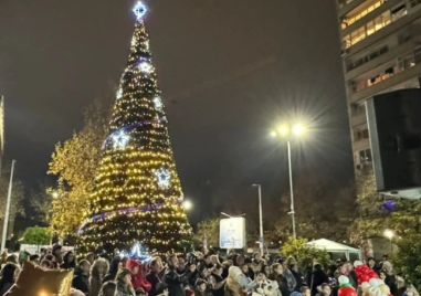 Палят светлините на елхата в парк „Каменица“ тази седмица