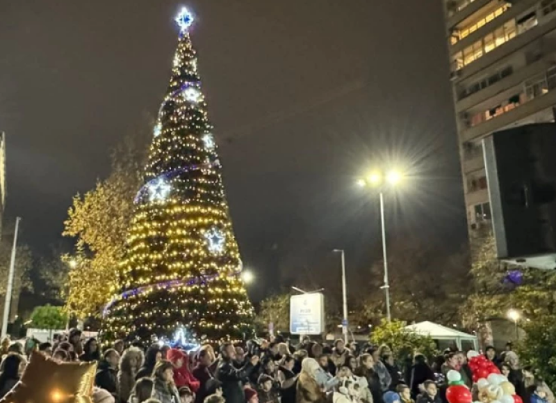 Палят светлините на елхата в парк „Каменица“ тази седмица