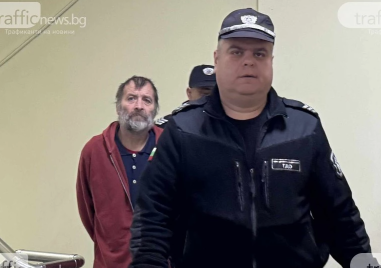 Насилник влиза в затвора след поредния жесток побой над майка си