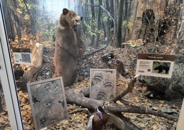 Пловдив посреща пътуващата изложба „Следи от изчезване“