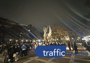 Стотина на протест срещу еврото