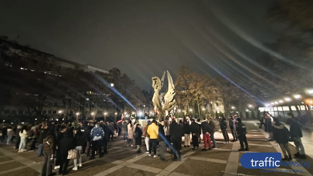 Стотина на протест срещу еврото