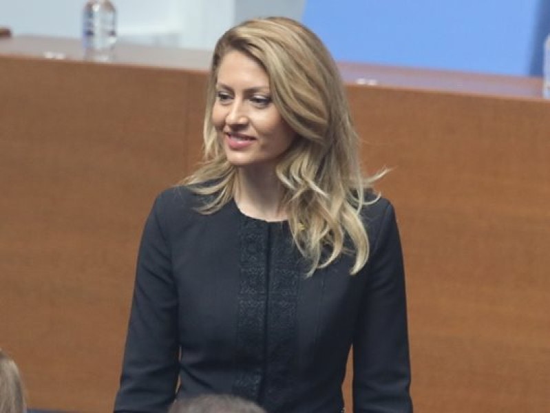 Рая Назарян „размрази“ искането на президента за референдум за еврото