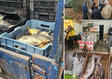 Опашки се извиха за жив шаран в Пловдив преди Никулден