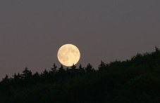 Идва суперлуна - с вой на вълци и светлина, по-ярка от всякога