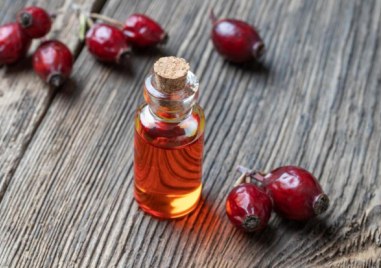 Маслото от шипки -  чудотворен еликсир за красота