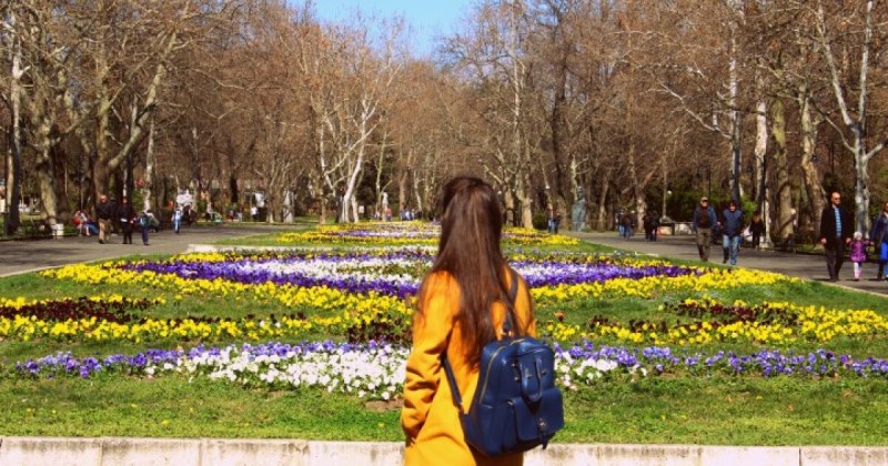 Проф. Рачев: Сняг в обозримото бъдеще няма, децата ще имат кафява Коледа