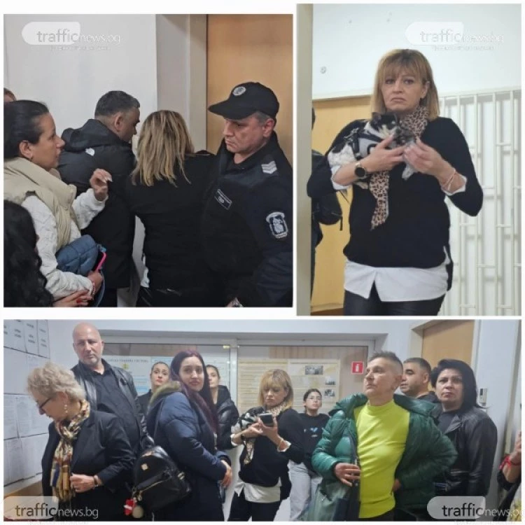 Хулиганството в пловдивския съд по случая “Мауси“ влезе в съда, никой не признава вина