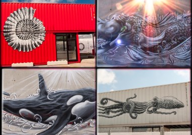 Дивият свят оживява в изложба на Цветан Узунов в Природонаучния музей