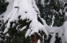 Посрещаме астрономическата зима и най-късия ден в годината тази седмица