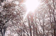 Сряда в Пловдив - предимно слънчева, но по-хладна