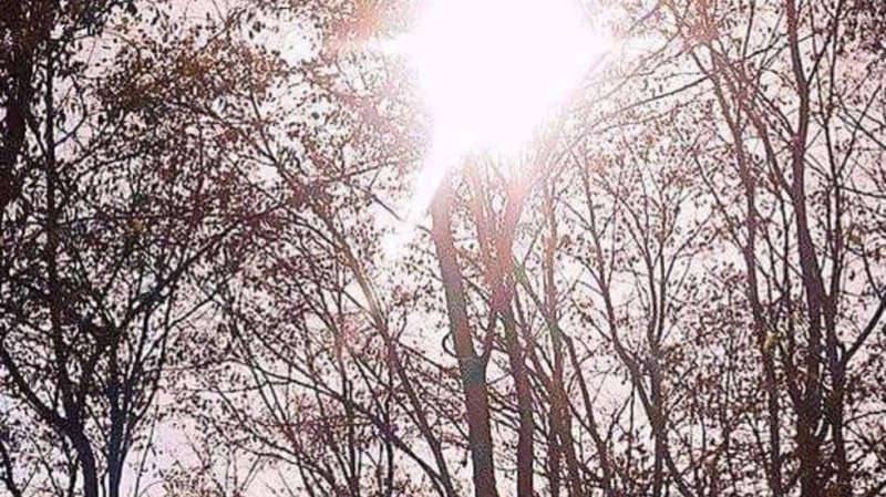 Сряда в Пловдив - предимно слънчева, но по-хладна