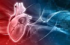 Интересни факти за сърцето и сърдечносъдовата система
