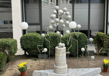 Пловдив има вече свое цвете-символ