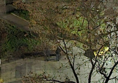 Празничната еуфория превръща нощите в кошмар, пиратки и фойерверки будят кварталите на Пловдив