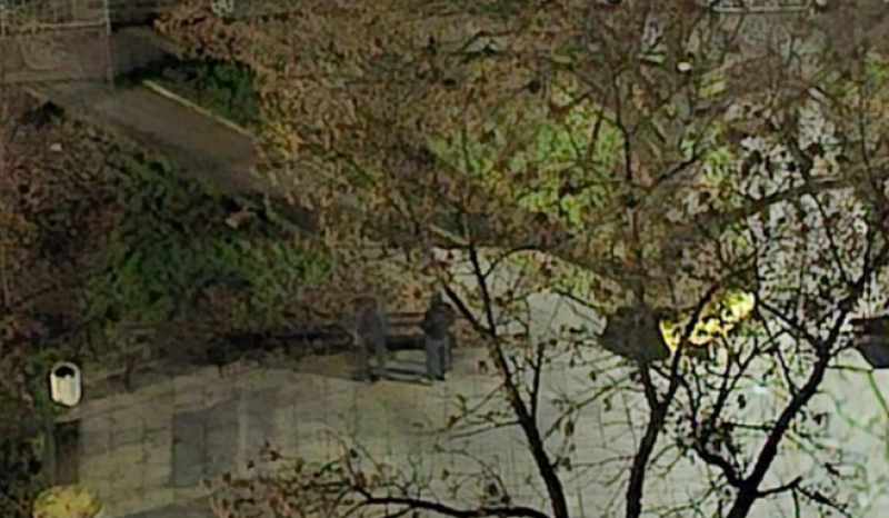 Празничната еуфория превръща нощите в кошмар, пиратки и фойерверки будят кварталите на Пловдив