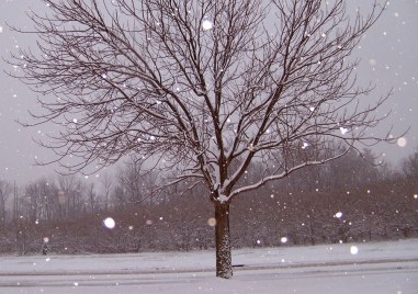 Оранжев и жълт код за обилни снеговалежи на Коледа в Пловдив и областта