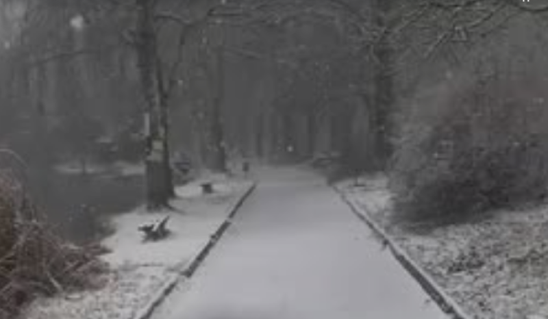 Бялата приказка в някои части на България вече е факт