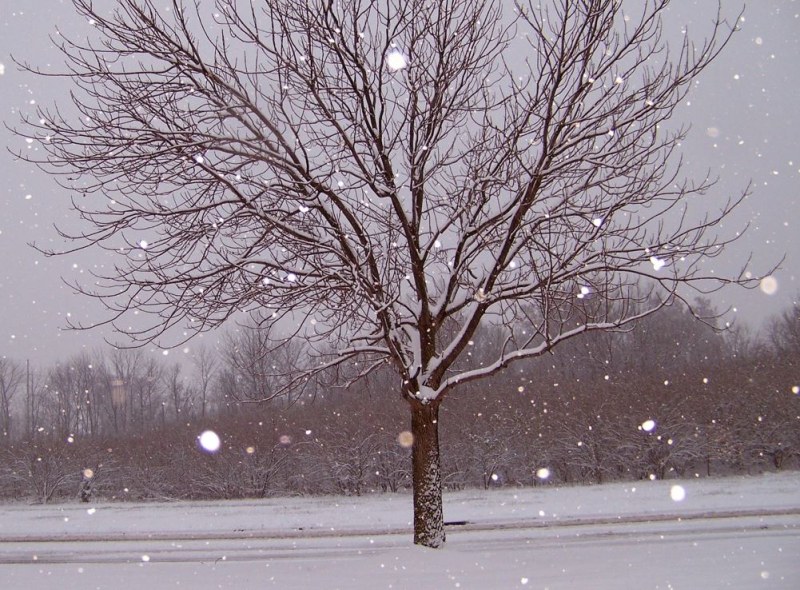 Оранжев и жълт код за обилни снеговалежи на Коледа в Пловдив и областта