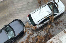 Дърво падна върху кола в Пловдив