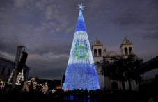 Вижте някои от най-красивите коледни елхи по света