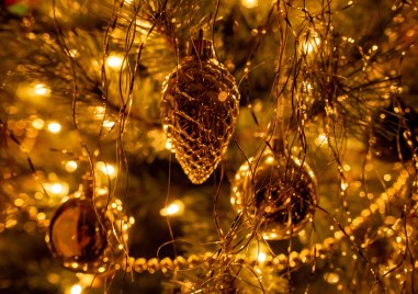 Поучителна коледна притча за елхата и лампичките