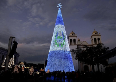 Вижте някои от най-красивите коледни елхи по света