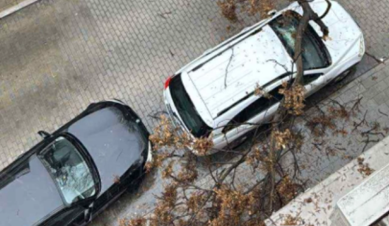 Дърво падна върху кола в Пловдив